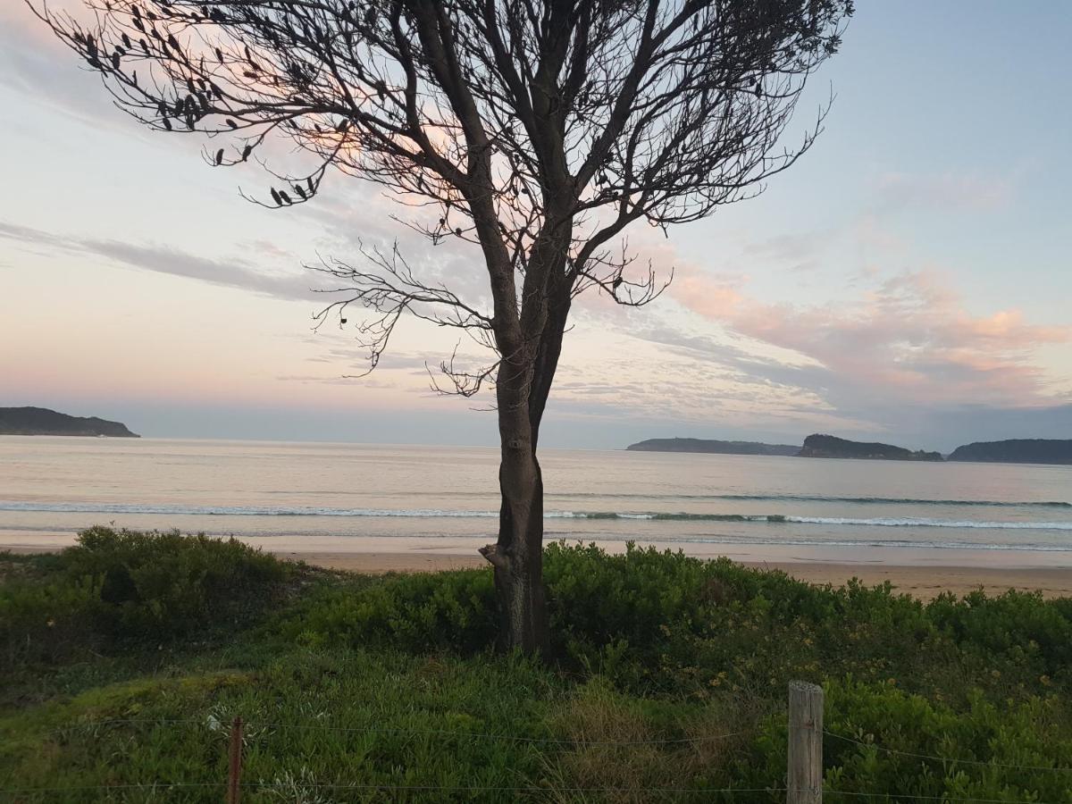 Beachside Villa Ettalong Beach Dış mekan fotoğraf